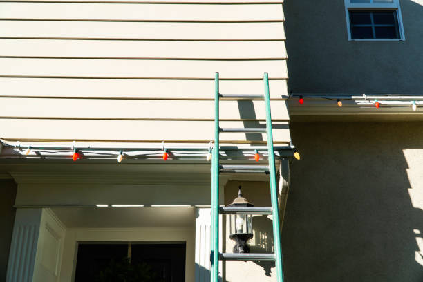 Trusted South Alamo, TX Siding Services Experts